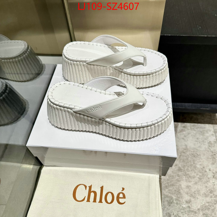 Women Shoes-Chloe the most popular ID: SZ4607 $: 109USD