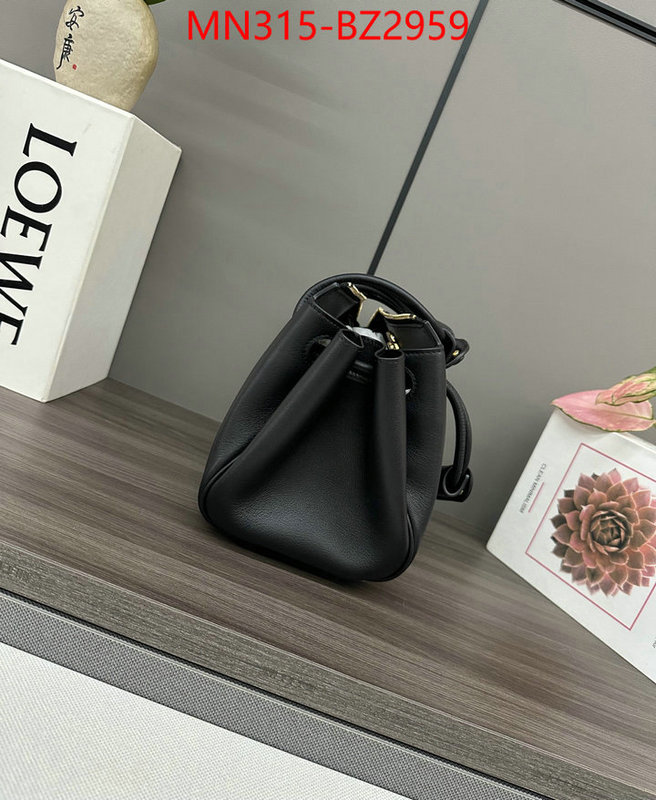 Loewe Bags(TOP)-Handbag- fashion designer ID: BZ2959 $: 315USD,