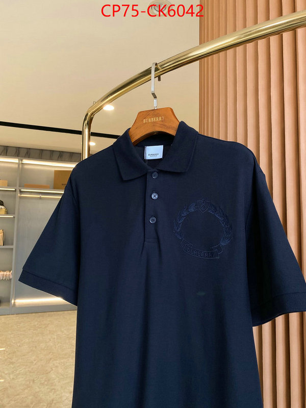 Clothing-Burberry where can you buy replica ID: CK6042 $: 75USD
