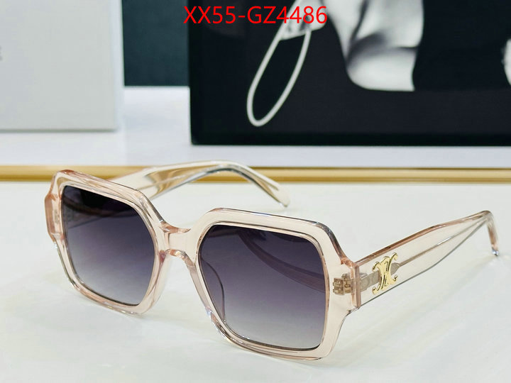 Glasses-CELINE perfect ID: GZ4486 $: 55USD