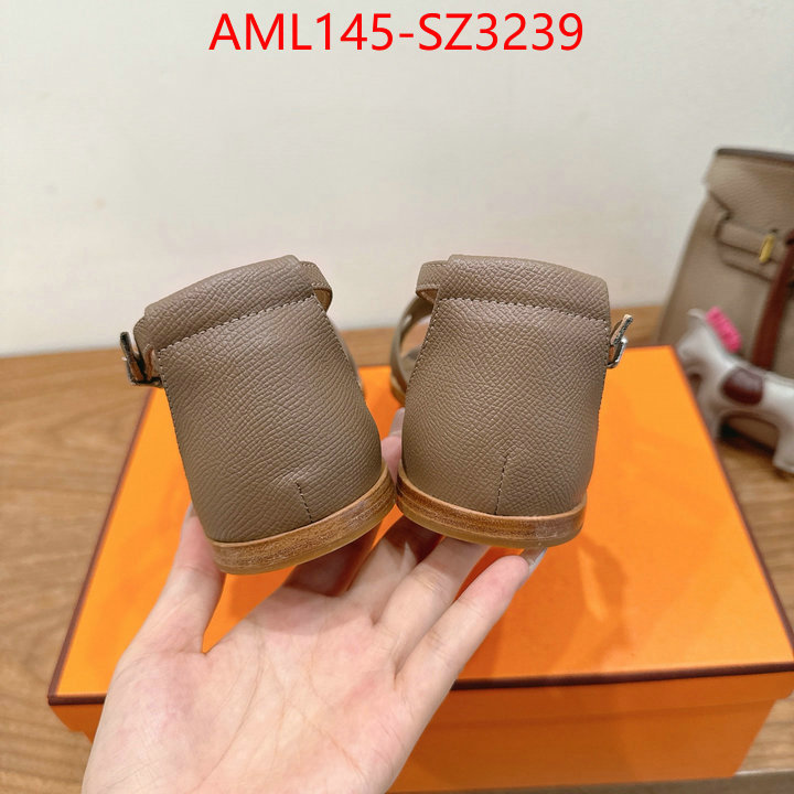 Women Shoes-Hermes what best designer replicas ID: SZ3239 $: 145USD