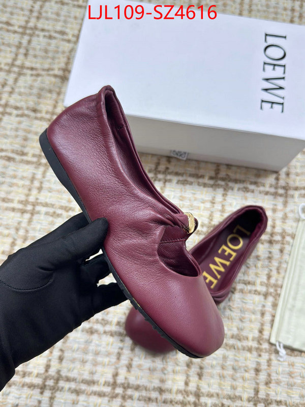Women Shoes-Loewe best ID: SZ4616 $: 109USD