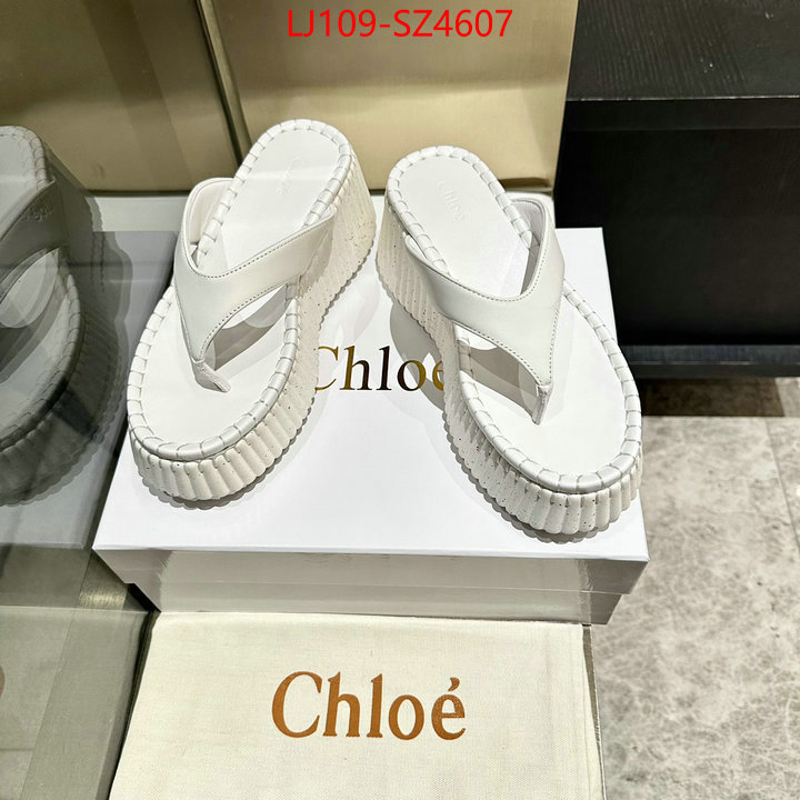 Women Shoes-Chloe the most popular ID: SZ4607 $: 109USD
