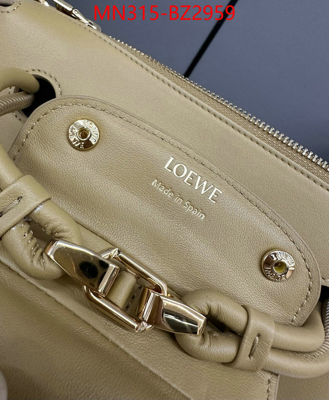 Loewe Bags(TOP)-Handbag- fashion designer ID: BZ2959 $: 315USD,