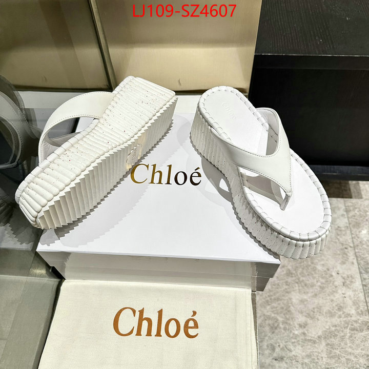 Women Shoes-Chloe the most popular ID: SZ4607 $: 109USD