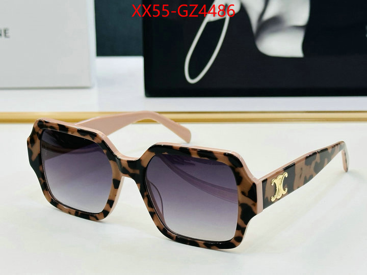 Glasses-CELINE perfect ID: GZ4486 $: 55USD