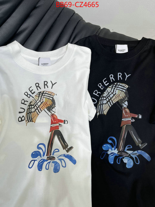 Clothing-Burberry best quality designer ID: CZ4665 $: 69USD