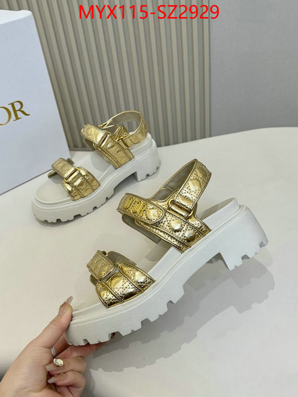 Women Shoes-Dior new 2024 ID: SZ2929 $: 115USD