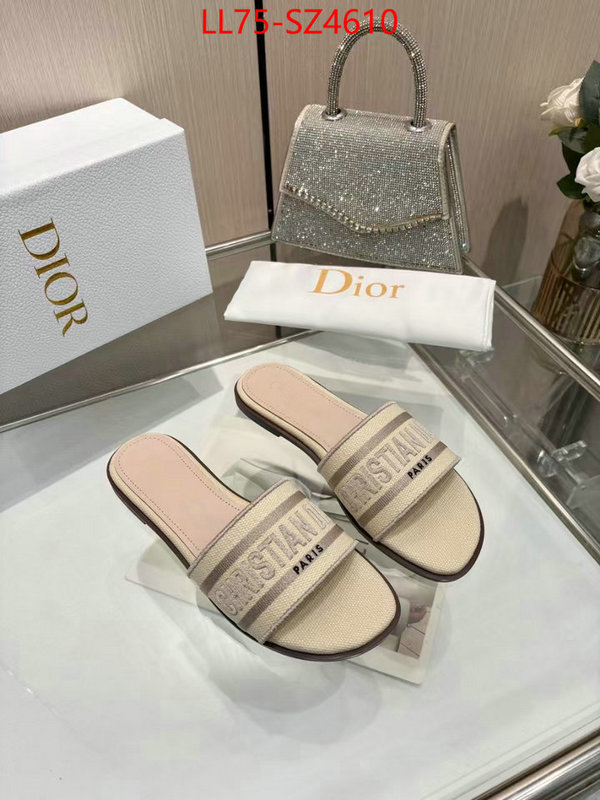 Women Shoes-Dior highest product quality ID: SZ4610 $: 75USD