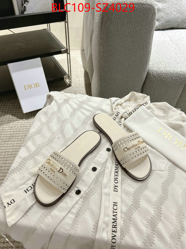 Women Shoes-Dior where can i buy the best quality ID: SZ4029 $: 109USD