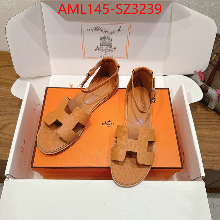 Women Shoes-Hermes what best designer replicas ID: SZ3239 $: 145USD