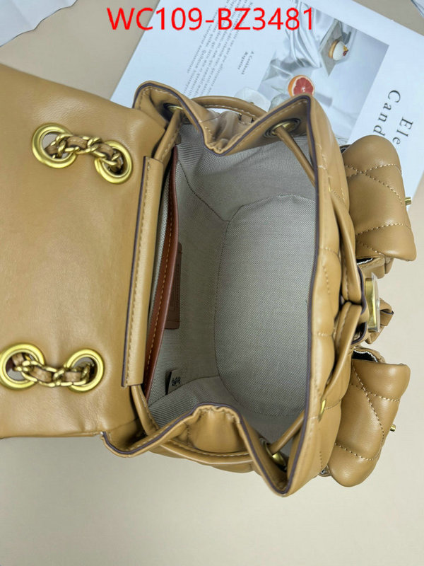 Coach Bags(4A)-Backpack- designer ID: BZ3481 $: 109USD,