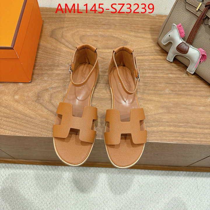 Women Shoes-Hermes what best designer replicas ID: SZ3239 $: 145USD