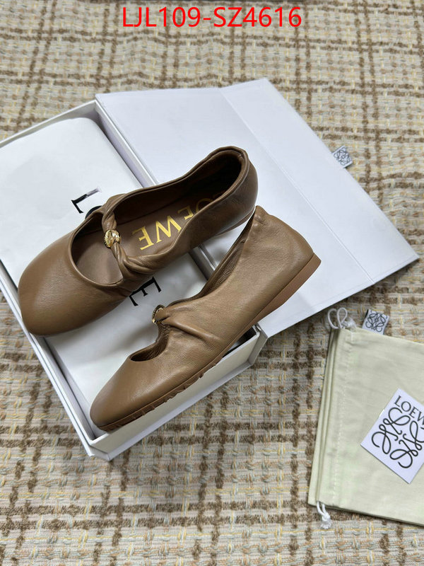 Women Shoes-Loewe best ID: SZ4616 $: 109USD