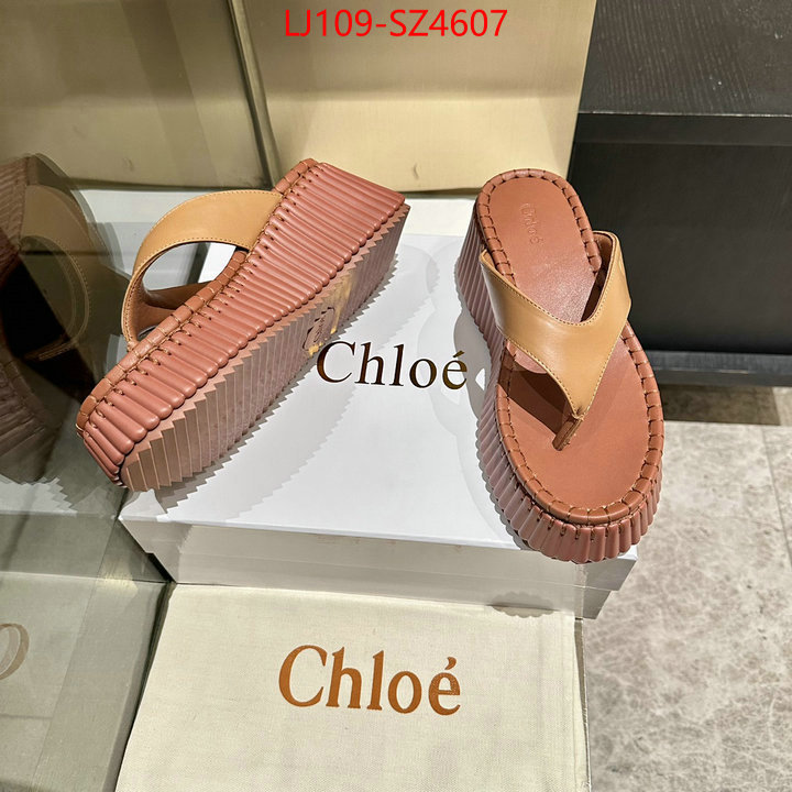 Women Shoes-Chloe the most popular ID: SZ4607 $: 109USD