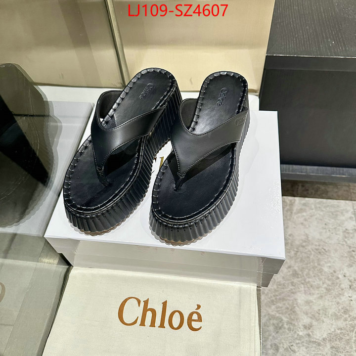 Women Shoes-Chloe the most popular ID: SZ4607 $: 109USD