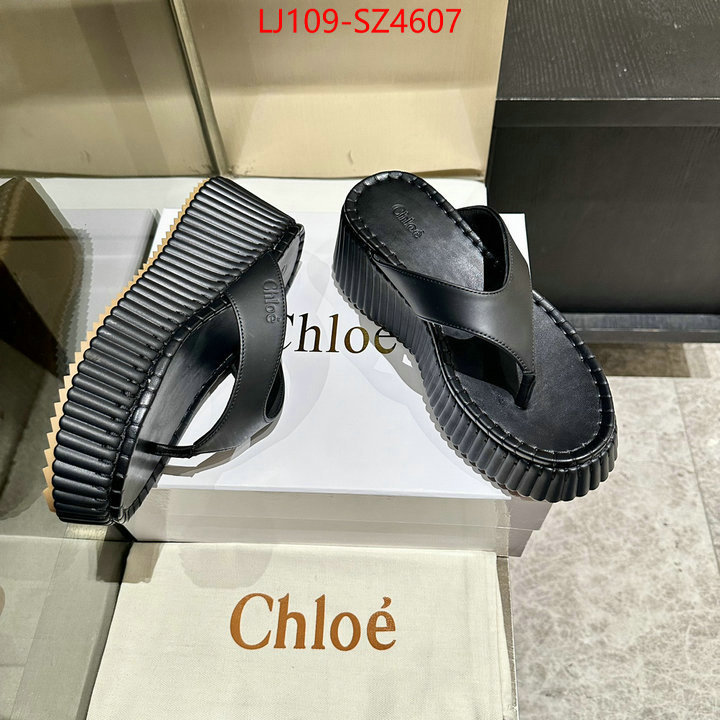 Women Shoes-Chloe the most popular ID: SZ4607 $: 109USD