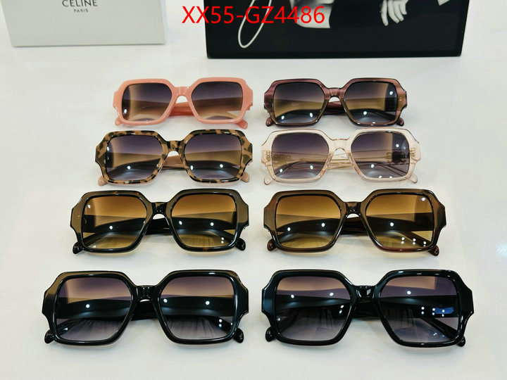 Glasses-CELINE perfect ID: GZ4486 $: 55USD