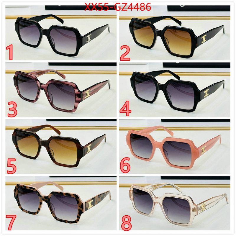 Glasses-CELINE perfect ID: GZ4486 $: 55USD
