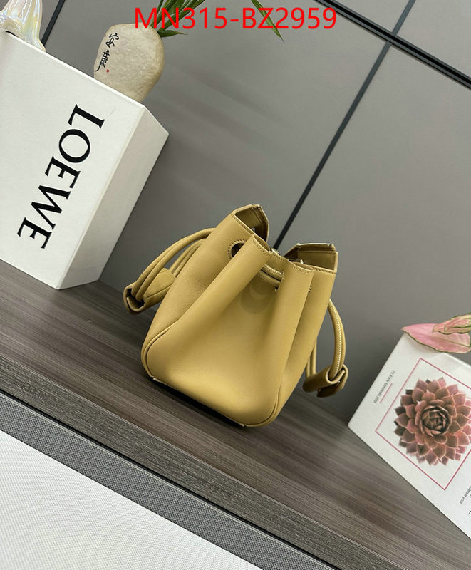 Loewe Bags(TOP)-Handbag- fashion designer ID: BZ2959 $: 315USD,