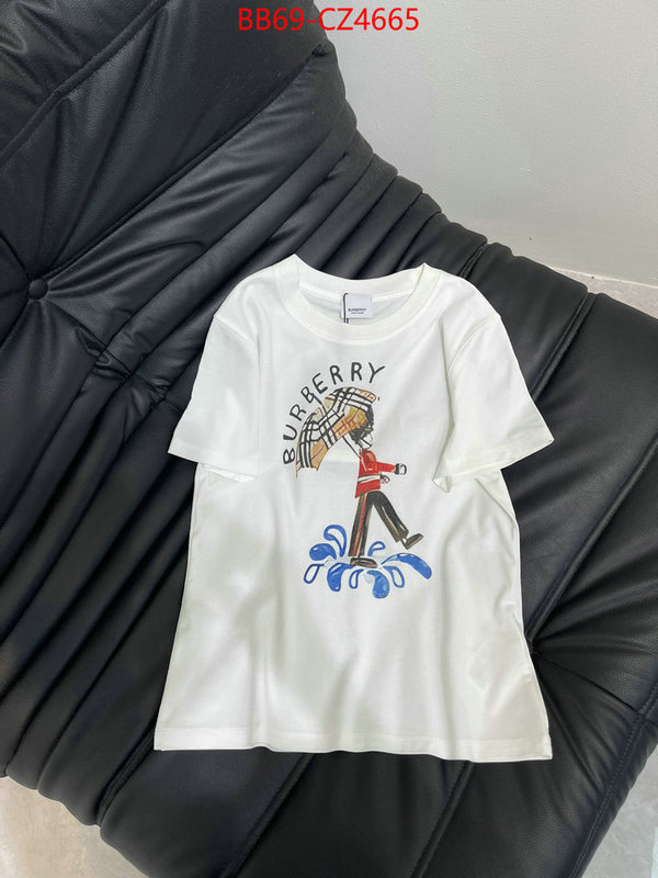 Clothing-Burberry best quality designer ID: CZ4665 $: 69USD