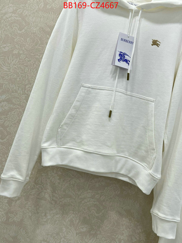 Clothing-Burberry where to buy ID: CZ4667 $: 169USD