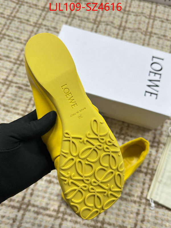 Women Shoes-Loewe best ID: SZ4616 $: 109USD