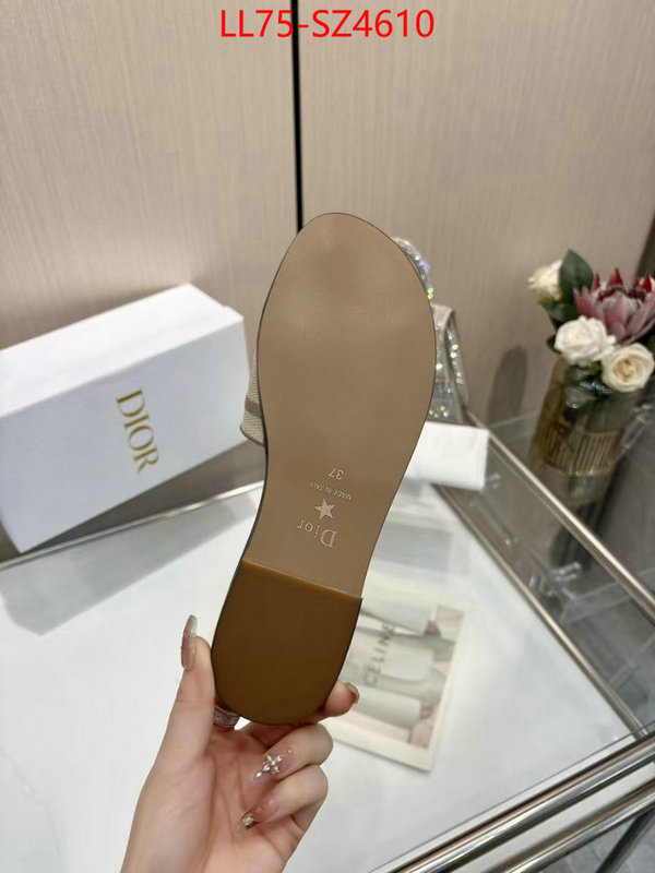 Women Shoes-Dior highest product quality ID: SZ4610 $: 75USD