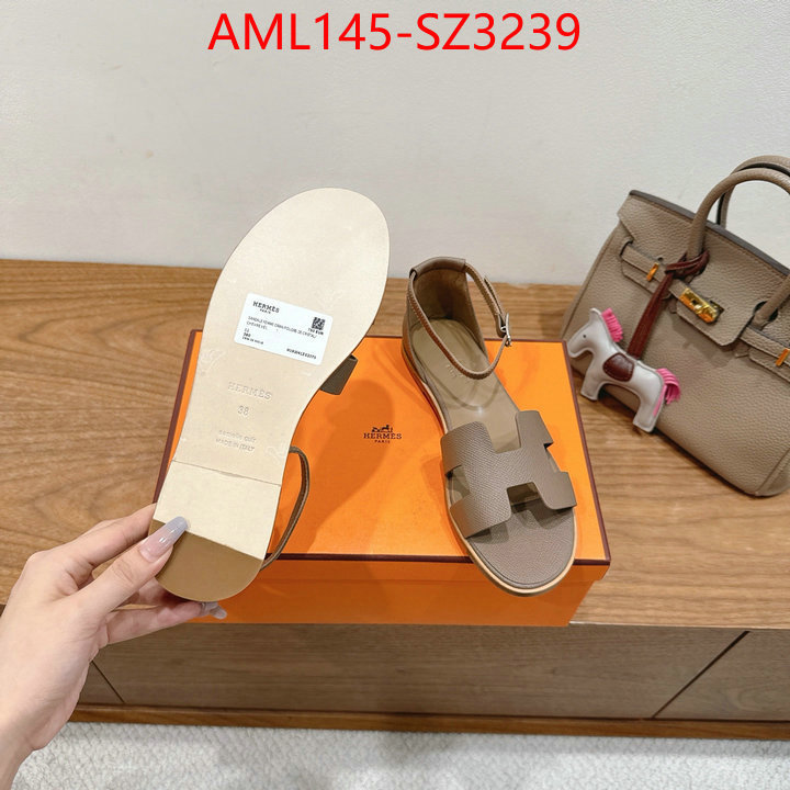 Women Shoes-Hermes what best designer replicas ID: SZ3239 $: 145USD