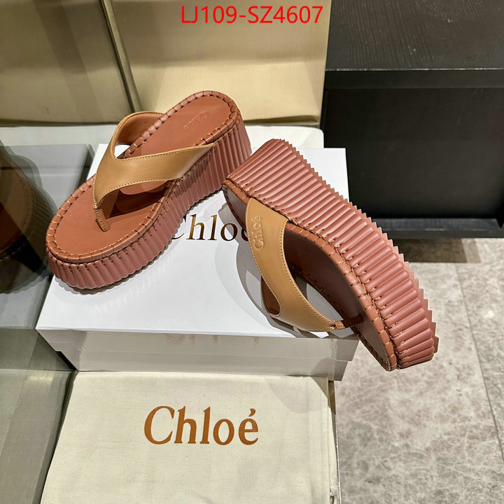 Women Shoes-Chloe the most popular ID: SZ4607 $: 109USD