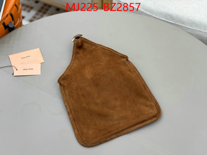 Miu Miu Bags(TOP)-Handbag- 7 star quality designer replica ID: BZ2857 $: 225USD,