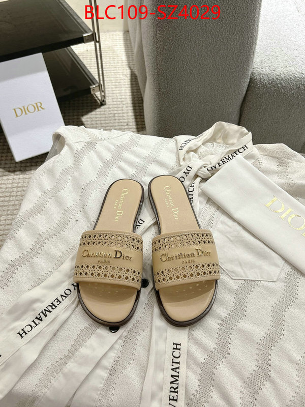 Women Shoes-Dior where can i buy the best quality ID: SZ4029 $: 109USD