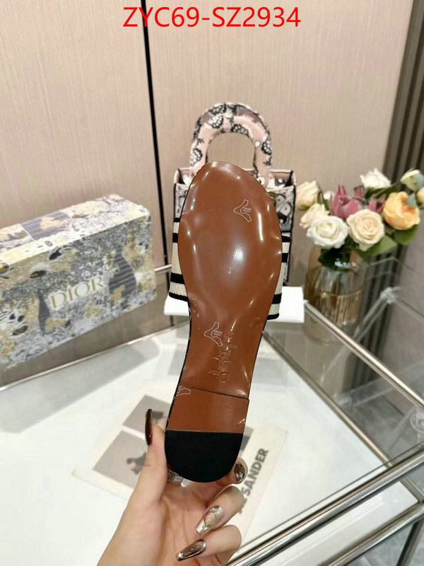 Women Shoes-Dior wholesale imitation designer replicas ID: SZ2934 $: 69USD