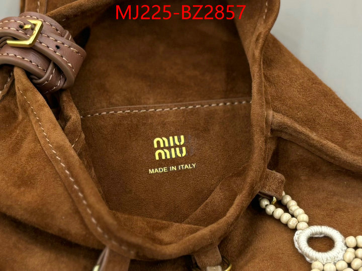 Miu Miu Bags(TOP)-Handbag- 7 star quality designer replica ID: BZ2857 $: 225USD,