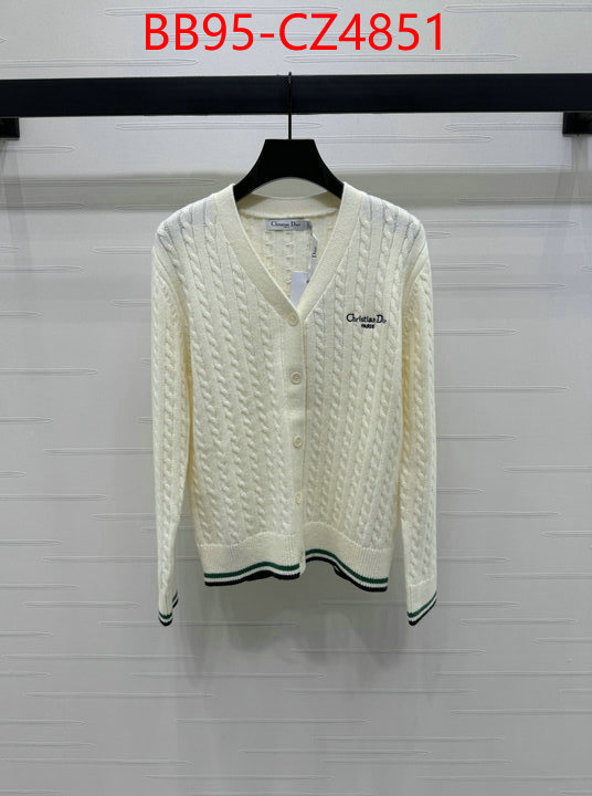 Clothing-Dior wholesale china ID: CZ4851 $: 95USD