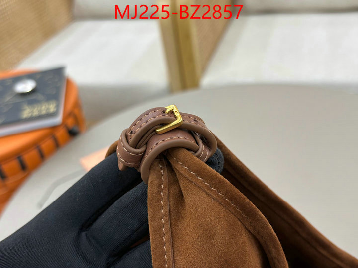 Miu Miu Bags(TOP)-Handbag- 7 star quality designer replica ID: BZ2857 $: 225USD,