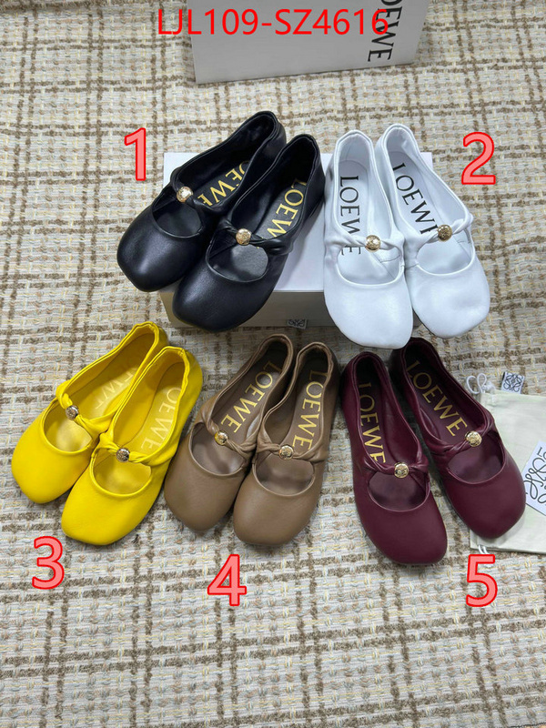 Women Shoes-Loewe best ID: SZ4616 $: 109USD