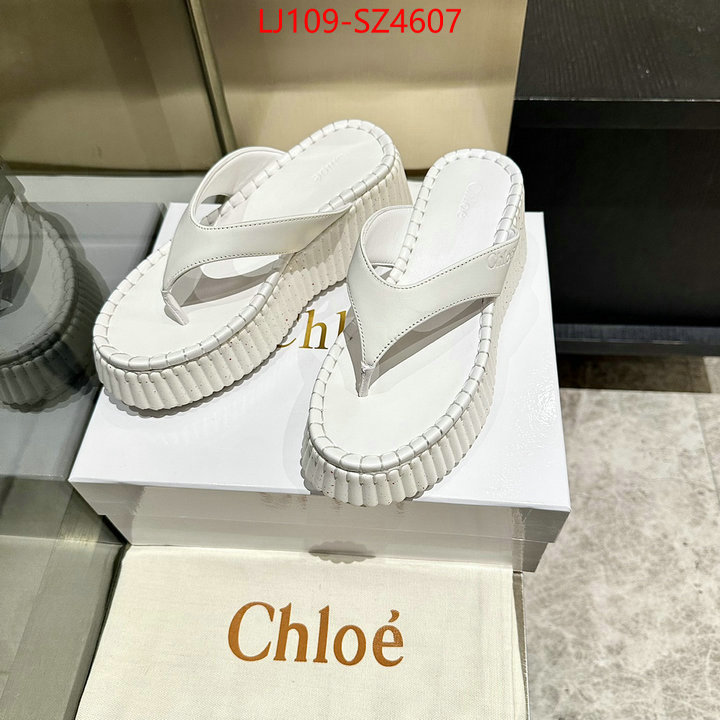 Women Shoes-Chloe the most popular ID: SZ4607 $: 109USD