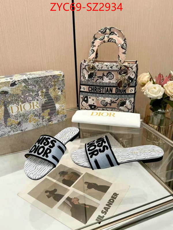 Women Shoes-Dior wholesale imitation designer replicas ID: SZ2934 $: 69USD