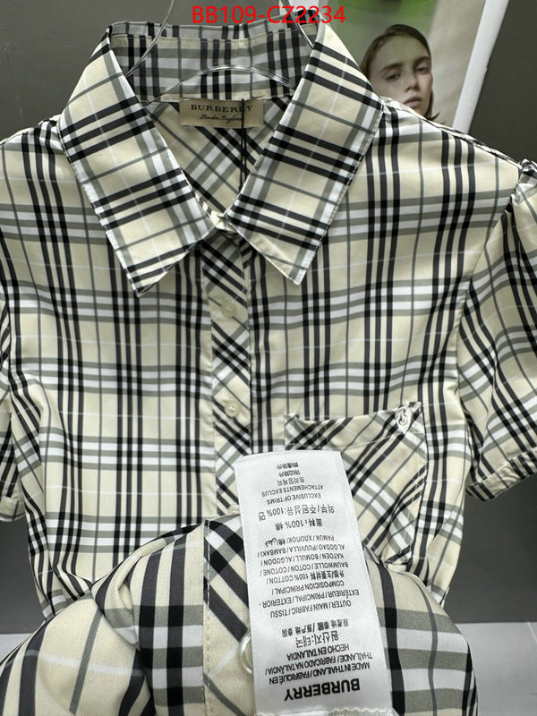 Clothing-Burberry sell online ID: CZ2234 $: 109USD