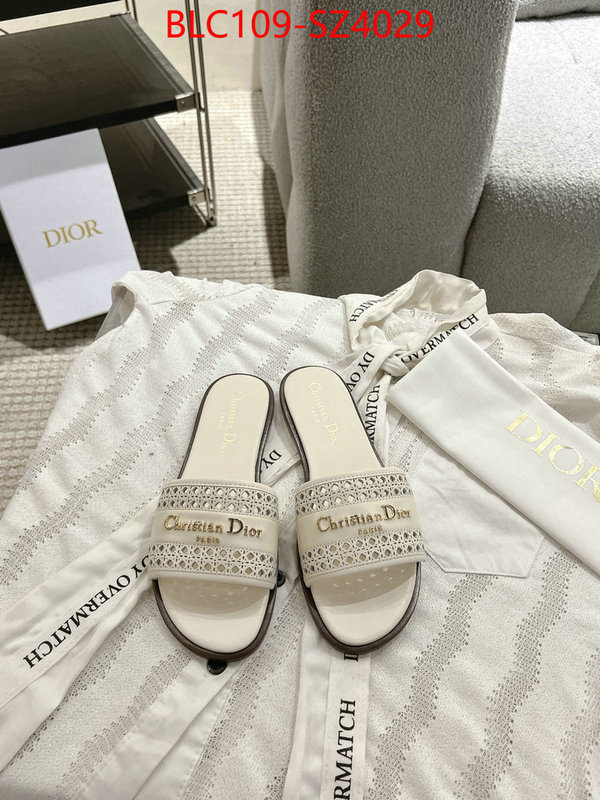 Women Shoes-Dior where can i buy the best quality ID: SZ4029 $: 109USD