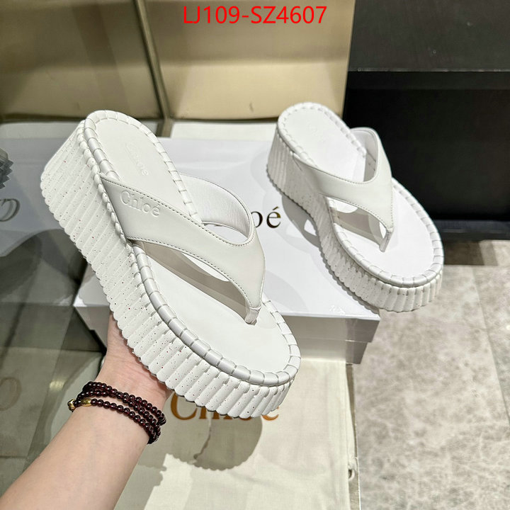 Women Shoes-Chloe the most popular ID: SZ4607 $: 109USD