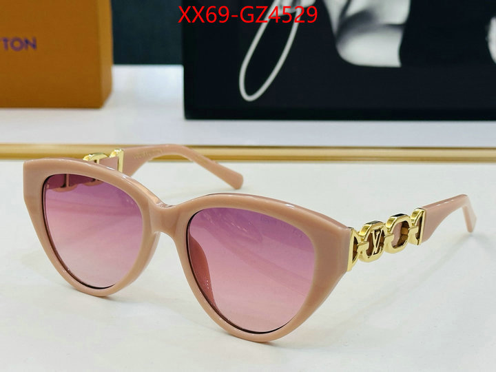 Glasses-LV we offer ID: GZ4529 $: 69USD