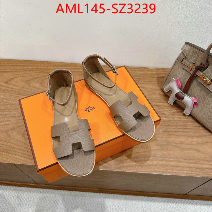 Women Shoes-Hermes what best designer replicas ID: SZ3239 $: 145USD