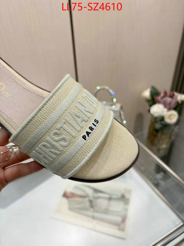 Women Shoes-Dior highest product quality ID: SZ4610 $: 75USD