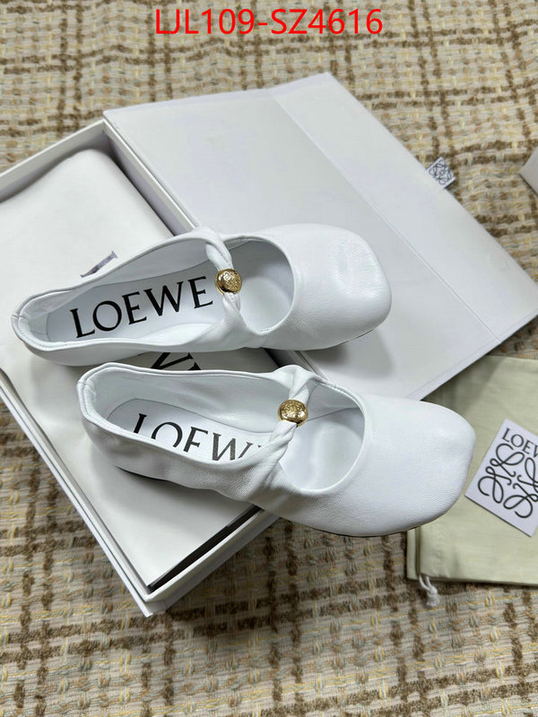Women Shoes-Loewe best ID: SZ4616 $: 109USD