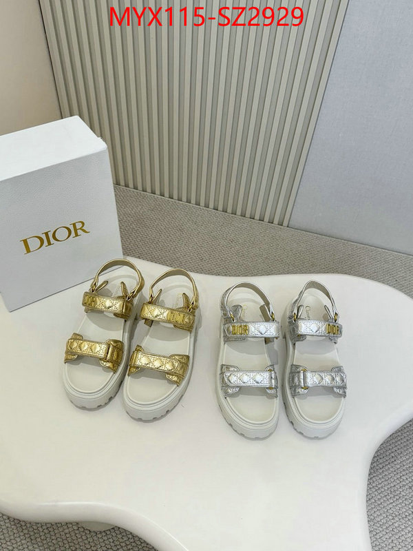 Women Shoes-Dior new 2024 ID: SZ2929 $: 115USD