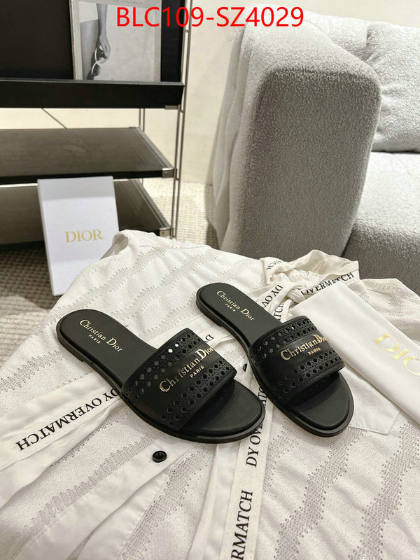Women Shoes-Dior where can i buy the best quality ID: SZ4029 $: 109USD