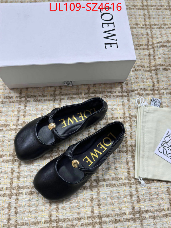 Women Shoes-Loewe best ID: SZ4616 $: 109USD