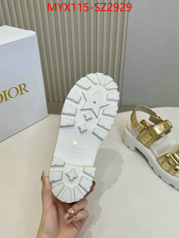 Women Shoes-Dior new 2024 ID: SZ2929 $: 115USD